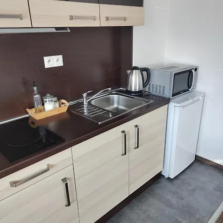Apartment Demaenova 238